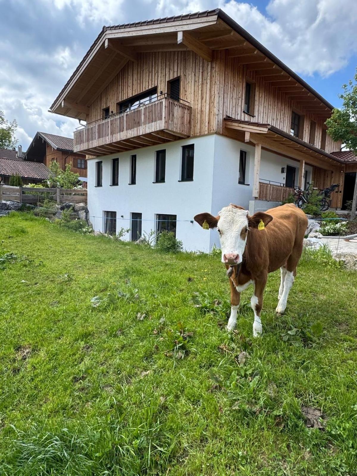 Ferienwohnung Gschwendt Miesbach Exterior photo
